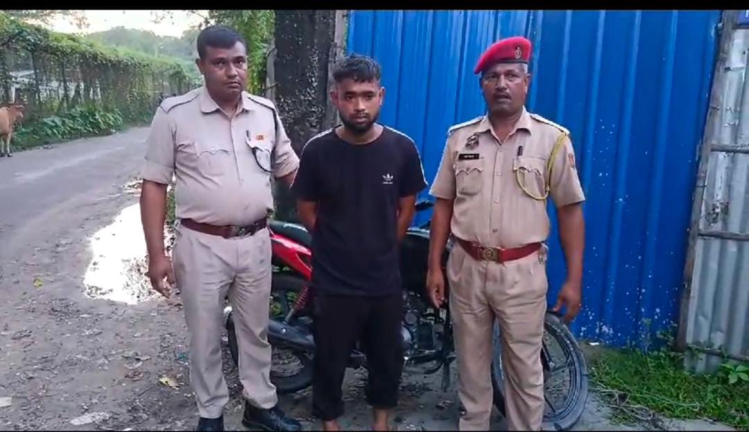 thief arrested