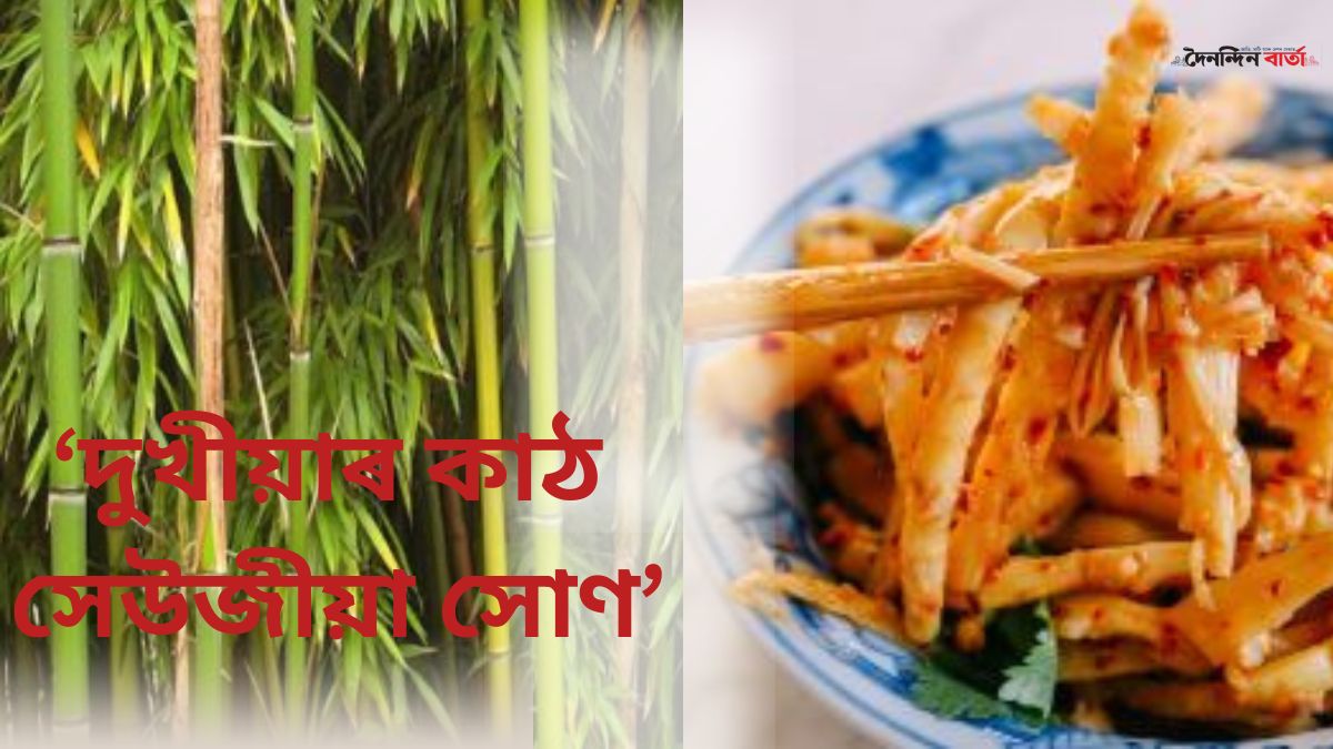 আজি বিশ্ব বাঁহ দিৱস