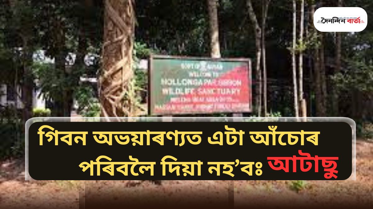 গিবন অভয়াৰণ্য