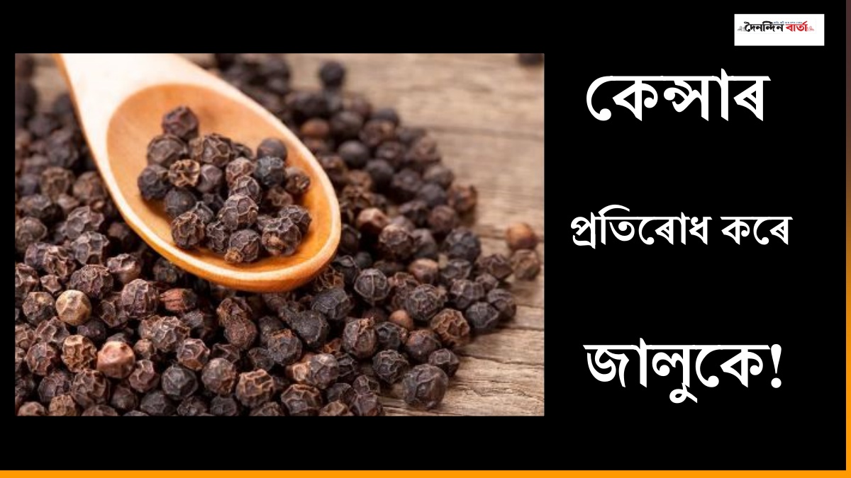 মহাষৌধ জালুক