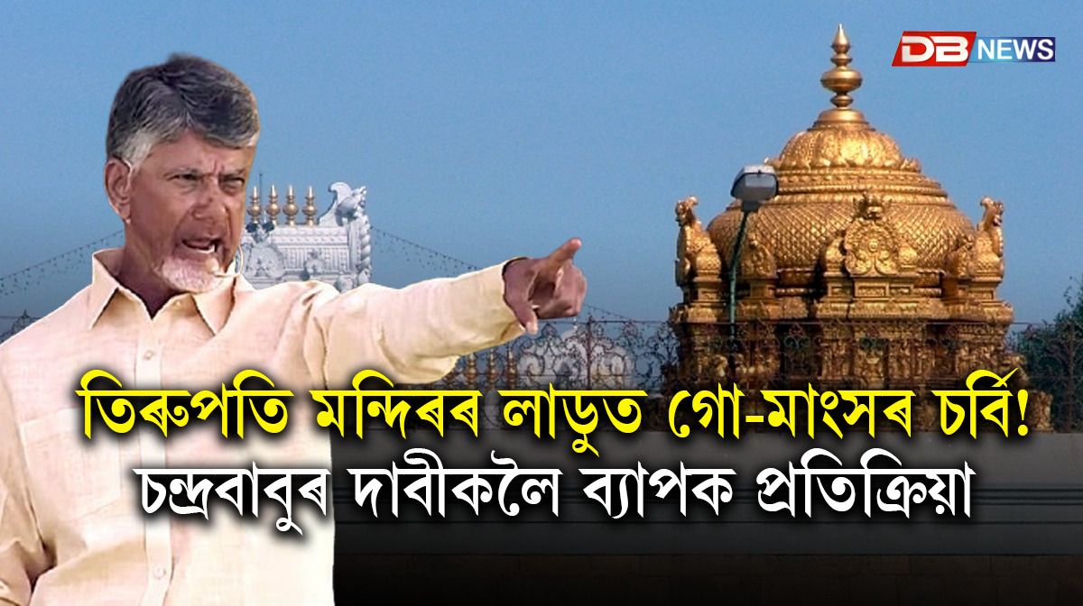 Tirupati temple: তিৰুপতি মন্দিৰৰ লাডুত গো-মাংসৰ চৰ্বি!