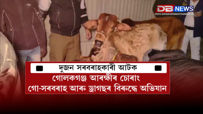 গোলকগঞ্জ আৰক্ষীৰ চোৰাং গো-সৰবৰাহ আৰু ড্ৰাগছৰ বিৰুদ্ধে অভিযান । Golakganj