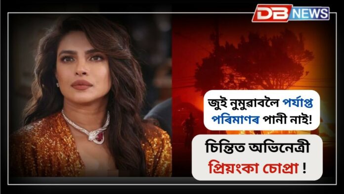 Priyanka Chopra: জুইৰ লেলিহানে গ্ৰাস কৰিছে জনজীৱন! চিন্তিত আমেৰিকাৰ বাসিন্দা প্ৰিয়ংকা...