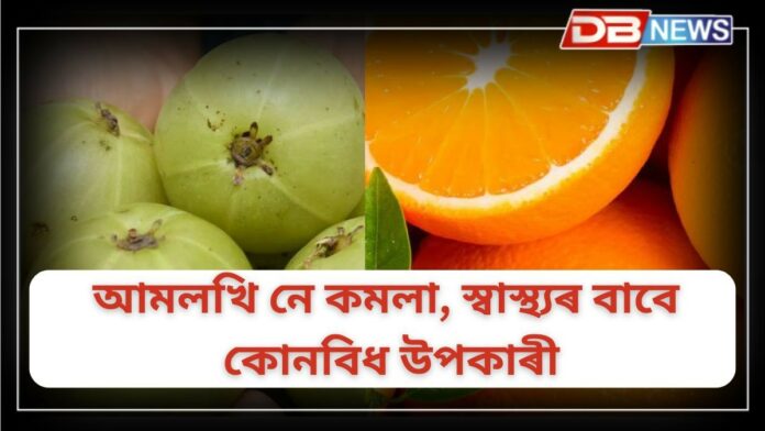 Amla vs Orange: আমলখি আৰু কমলা, স্বাস্থ্যৰ বাবে আমলখি আৰু কমলা কোনবিধ উপকাৰী