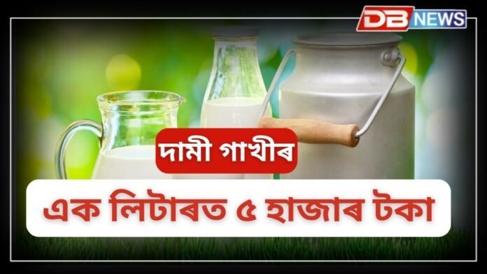 Halari: এক লিটাৰত ৫ হাজাৰ, ভাৰতৰ আটাইতকৈ দামী গাখীৰ!