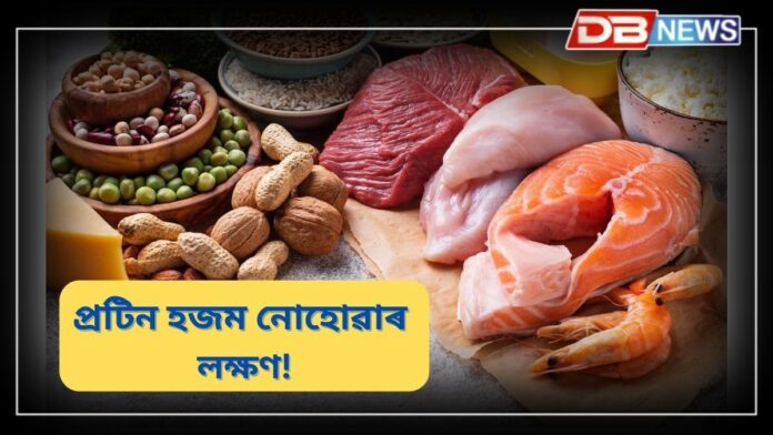 Proteins: যেতিয়া পেটত প্ৰটিন হজম নহয় তেতিয়া শৰীৰে এনে সংকেত দিয়ে...
