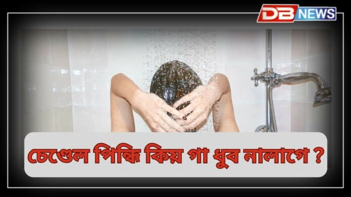 Vastu Tips: মহিলাসকলে ভুলতেও গা ধোৱাৰ পিছত এই কাম নকৰিব