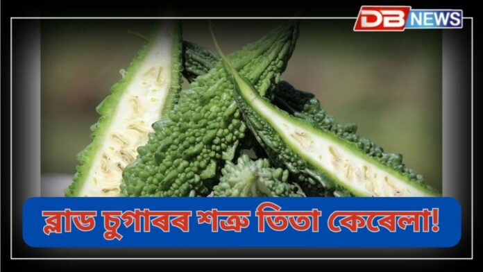 Bitter Gourd: সকলোৱে জানে, কিন্তু তথাপিও ডায়েবেটিছ ৰোগীয়ে নাখায় তিতা খাদ্য!