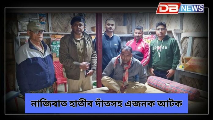 Nazira News: নাজিৰা লক্ষ্মীজান বাহঁবাৰী অঞ্চলত হাতীৰ দাঁতসহ এজনক আটক