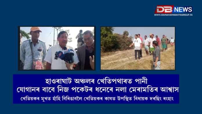 MLA Darsing Ronghang । খেতিয়কৰ মুখত হাঁহি বিৰিঙাবলৈ খেতিয়কৰ কাষত উপস্থিত বিধায়ক দৰছিং ৰংহাং