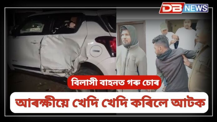 Cow Thieves: বিলাসী বাহনত গৰু চোৰ, আৰক্ষীয়ে খেদি খেদি কৰিলে আটক !