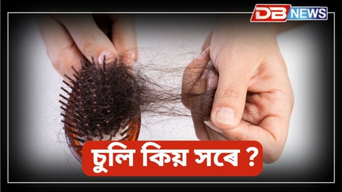 Hairfall: কি ভিটামিনৰ অভাৱত চুলি সৰে ?