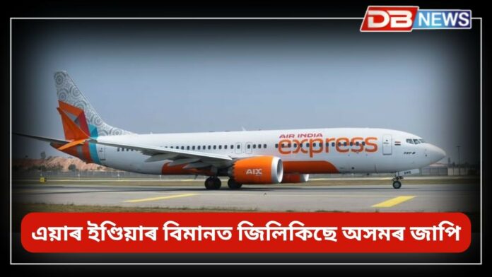 Jaapi: এয়াৰ ইণ্ডিয়া এক্সপ্ৰেছৰ বিমানত অসমৰ জাপিৰ আৰ্হিত চিত্ৰ অংকন