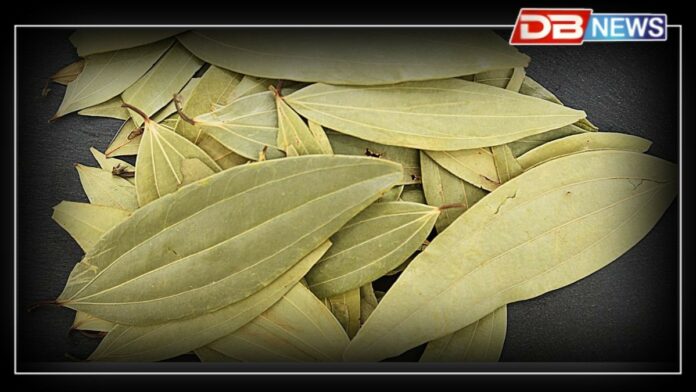 Bay Leaves: ডায়েবেটিছকে ধৰি ৫টা সমস্যাৰ সমাধান তেজপাত !