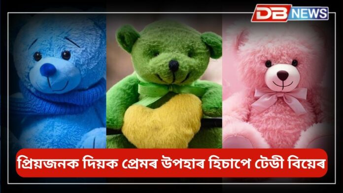 Teddy Day: আজি 'টেডী ডে', টেডি বিয়েৰৰ ৰঙৰ অৰ্থ জানি লওক