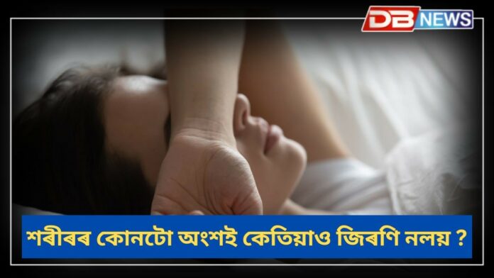 Health: শৰীৰৰ কোনটো অংশই কেতিয়াও জিৰণি নলয়?