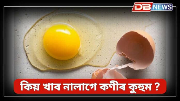 Egg Yolks: কণীৰ কুহুমৰ আছে বহু উপকাৰীতা, স্বাস্থ্যৰ ওপৰত কেনে প্ৰভাৱ পৰে কণীৰ কুহুম খালে !