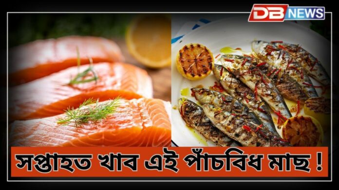 Brain: ৫টা মাছে মগজুৰ স্নায়ু শক্তিশালী কৰে, সপ্তাহত খাব এই পাঁচবিধ মাছ !