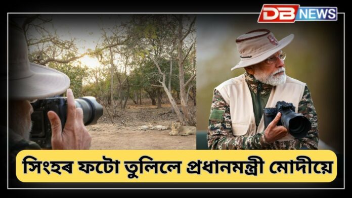 Narendra Modi: সিংহৰ ফটো তুলিলে প্ৰধানমন্ত্ৰী মোদীয়ে