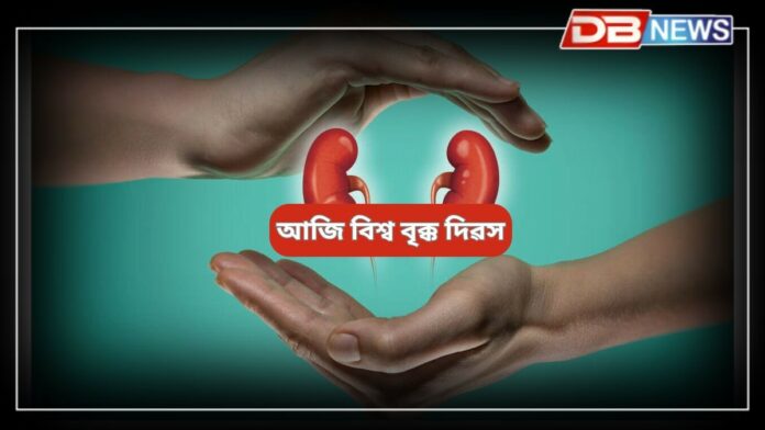 World Kidney Day: আজি বিশ্ব বৃক্ক দিৱস, ক্ষীণ হোৱাৰ ইচ্ছাই আপোনাৰ বৃক্ক বিকল কৰিব পাৰে !