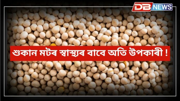 Peas: হালধীয়া মটৰ ব্যৱহাৰ কৰক, ৫টা উপকাৰ লাভ কৰিব, দামো কম !