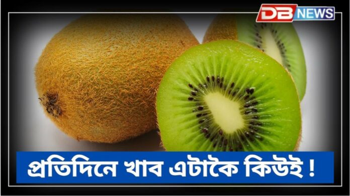 Kiwi Fruit: প্ৰতিদিনে এটা কিউই খালে সলনি হ’ব স্বাস্থ্য !