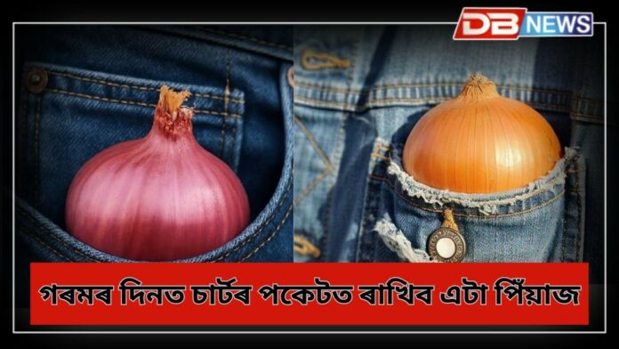 Onion: গৰমৰ দিনত চাৰ্টৰ পকেটত কিয় ৰাখিব লাগে পিঁয়াজ, ইয়াৰ ফলত গৰমৰ অস্বস্তি কমে !