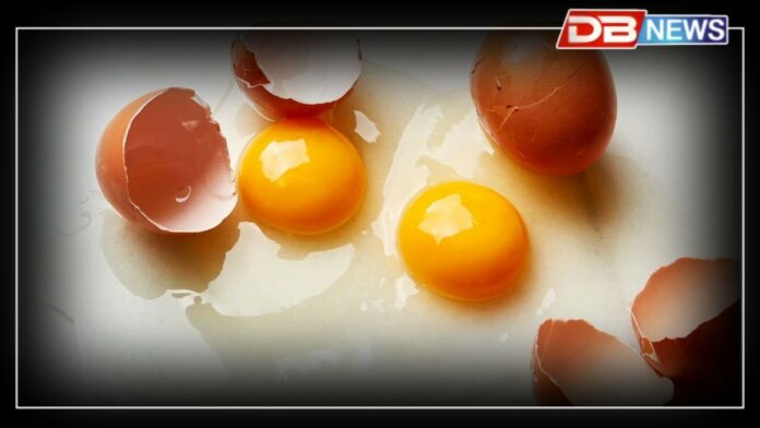 Egg Yolk: কণীৰ কুহুম সকলোৰে বাবে স্বাস্থ্যকৰ নহয়, আপোনাৰো আছে নেকি এই ৰোগ ?