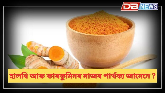 Turmeric and Curcumin: ছালৰ বাবে কিয় উপকাৰী হালধি ? চুলিৰ সমস্যাও সমাধান কৰে হালধিয়ে !