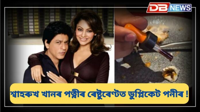 Gauri Khan Restaurant: গৌৰী খানৰ ৰেষ্টুৰেণ্টত ডুপ্লিকেট পনীৰ, ইউটিউবাৰে প্ৰকাশ কৰিলে চাঞ্চল্যকৰ খবৰ !
