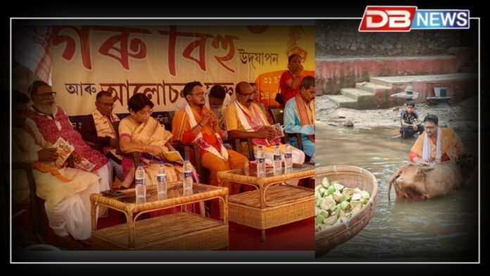 Rongali Bihu 2025: বশিষ্ঠাশ্ৰম দেৱালয়ত গৰু বিহু উদযাপন আৰু আলোচনা চক্ৰ