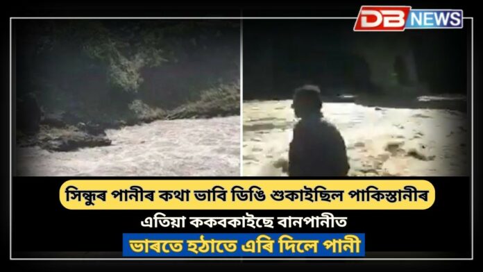 Flood in River Jhelum: এফালে যুদ্ধ, আনফালে পানী; ভাৰতে হঠাতে এৰি দিলে পানী !