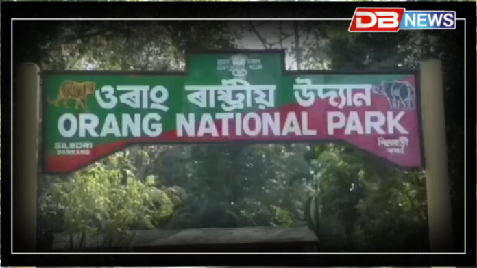 ওৰাং ৰাষ্ট্ৰীয় উদ্যান কালিৰে পৰা পর্যটকৰ বাবে বন্ধ । orang national park