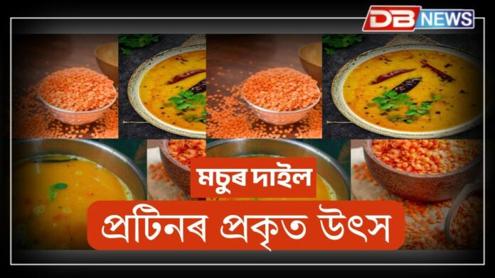 High Protein: কণী খোৱাৰ প্ৰয়োজন নাই, মচুৰ দাইল হৈছে প্ৰটিনৰ প্ৰকৃত উৎস !