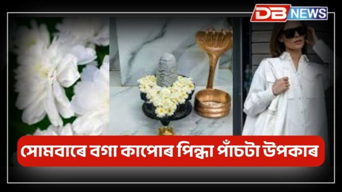 White Clothes: সোমবাৰে পিন্ধিব বগা কাপোৰ, জীৱনত ৫টা সফলতা লাভ কৰিব !