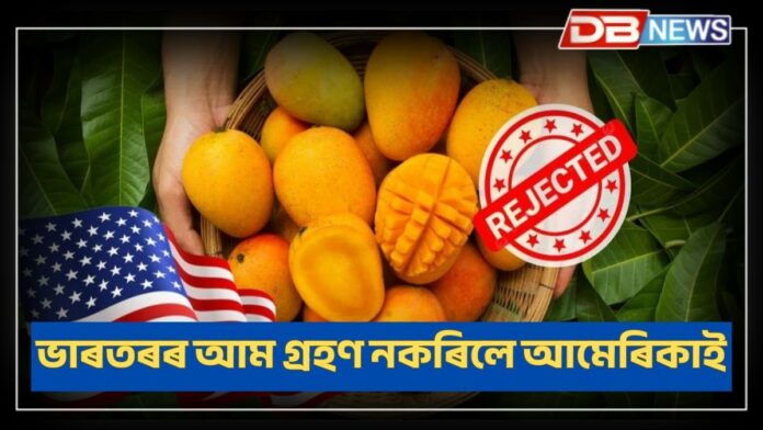 US Rejected Mangoes: ভাৰতৰ পৰা প্ৰেৰণ কৰা আম গ্ৰহণ নকৰিলে আমেৰিকাই