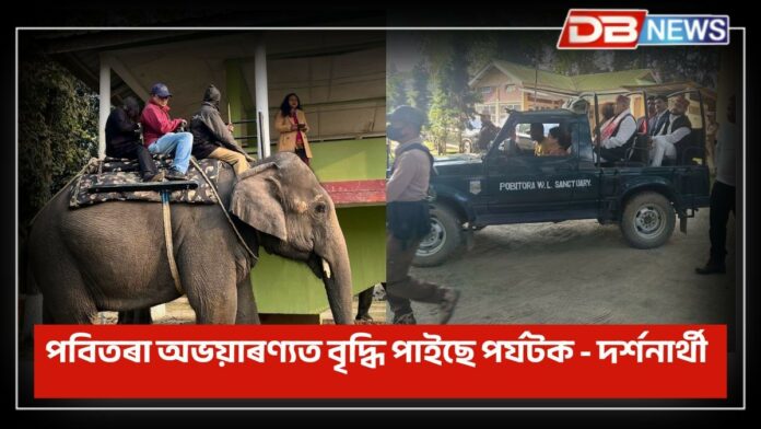 Pobitora Wildlife Sanctuary: পবিতৰা অভয়াৰণ্যত বৃদ্ধি পাইছে পৰ্যটক - দৰ্শনাৰ্থীৰ সংখ্যা; ৰাজহ সংগ্ৰহৰ পৰিমাণো পূৰ্বতকৈ বৃদ্ধি