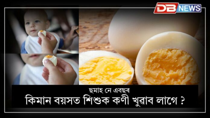 Egg: ছমাহ নে এবছৰ, কিমান বয়সত শিশুক প্ৰথমবাৰৰ বাবে কণী খুৱাব লাগে ?