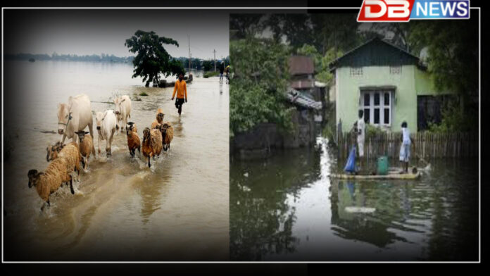 অসমত অব্যাহত বানৰ তাণ্ডৱ! ১১ জিলাত প্ৰভাৱিত ২.৫৯ লাখ লোক । Assam floods