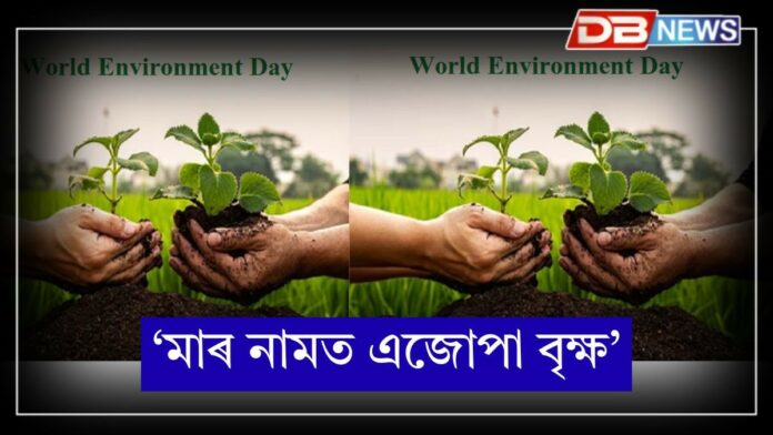 World Environment Day 2025: আজি বিশ্ব পৰিৱেশ দিৱস