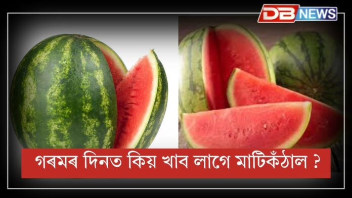 Pineapple: গৰমৰ লগতে বিভিন্ন ৰোগৰ পৰা সকাহ পাব মাটিকঁঠাল খালে !