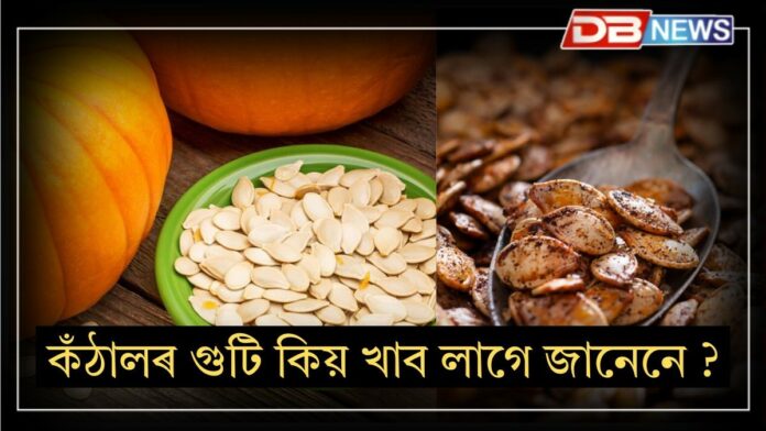Jackfruit seeds: আজিৰে পৰা খাবলৈ আৰম্ভ কৰক কঁঠালৰ গুটি, কঁঠাল গুটিৰ আছে বহু উপকাৰিতা।