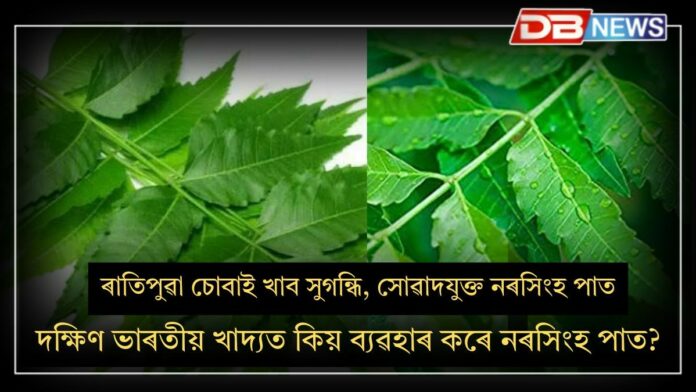 Curry Leaf: ৰাতিপুৱা খালী পেটত কিয় চোবাই খাব লাগে নৰসিংহ পাত? ৪টা কাৰণ জানি লওক