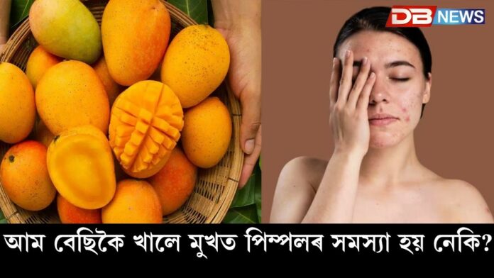 National Mango Day 2025: আজি ৰাষ্ট্ৰীয় আম দিৱসঃ আম কেনেকৈ খাব লাগে জানেনে? National Mango Day 2025: আজি ৰাষ্ট্ৰীয় আম দিৱসঃ আম কেনেকৈ খাব লাগে জানেনে?