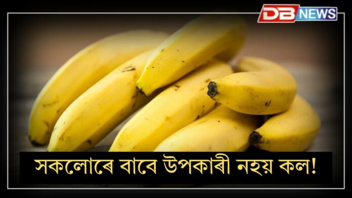 Banana: সাৱধান! সকলোৰে বাবে উপকাৰী নহয় কল!