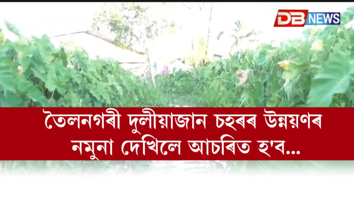তৈলনগৰী দুলীয়াজান চহৰৰ উন্নয়ণৰ নমুনা দেখিলে আচৰিত হ'ব । Duliajan