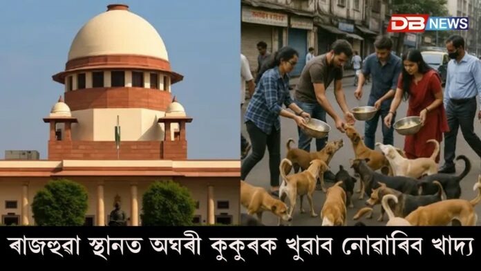 Dogs: পথৰ কুকুৰ সন্দৰ্ভত উচ্চতম ন্যায়ালয়ৰ গুৰুত্বপূৰ্ণ ৰায়