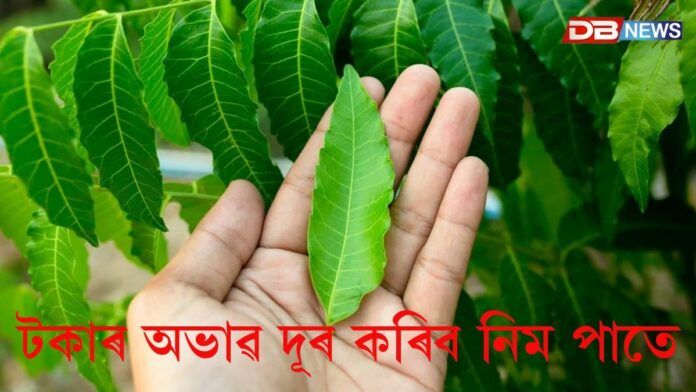 টকাৰ অভাৱ নহ'ব আপোনাৰ জীৱনত