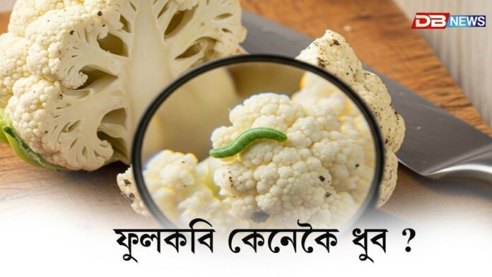ফুলকবি ধোৱাৰ সময়ত পানীত কি দিব লাগে জানেনে?