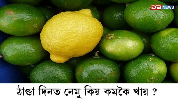 ঠাণ্ডা দিনত নেমু কেনেকৈ খাব, জানেনে?